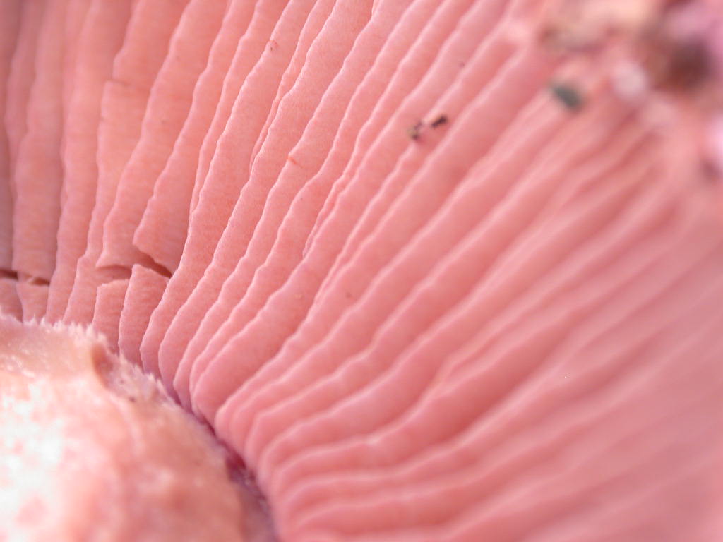 E'' tempo di .... QUIZZZZ